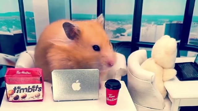 StarFunnel - Astro-powered landing page builder with contact forms, newsletter integration, and page blocks